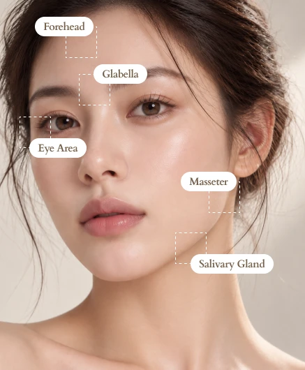 Facial Botox Treatment Areas