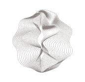 Muscle Layer 肌肉层提升图示